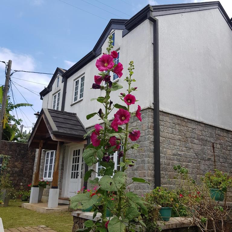 a plant with pink flowers in front of a house at The Planter's Legacy By Fairway in Nuwara Eliya