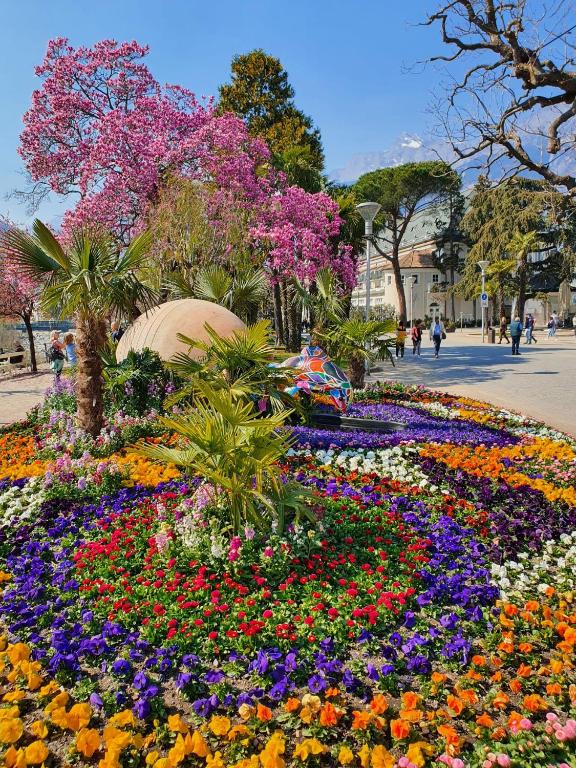 Vonkajšia záhrada v ubytovaní CityPointapartments-Park