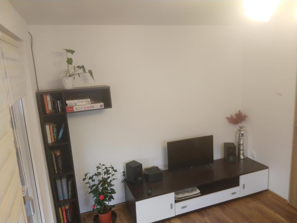 Μια τηλεόραση ή/και κέντρο ψυχαγωγίας στο ZOSIA