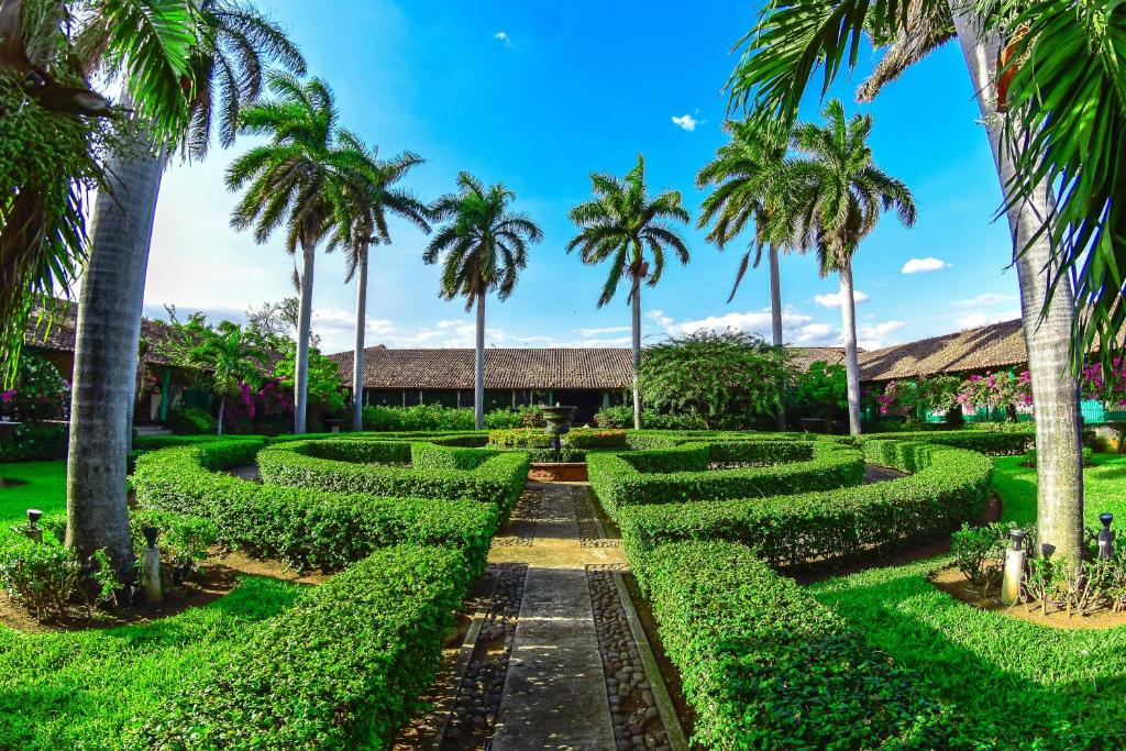 einen Hedge-Garten mit Palmen und einem Gebäude in der Unterkunft Hotel El Convento Leon Nicaragua in León