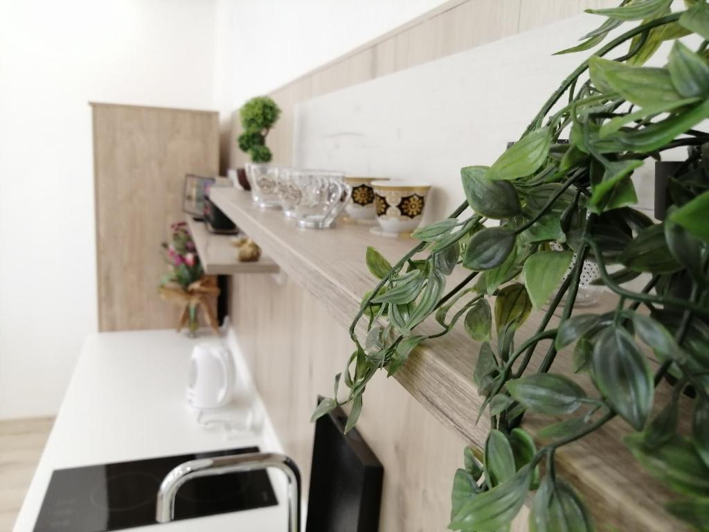 Kuchyň nebo kuchyňský kout v ubytování Studio Apartment - A Bit Of Joy
