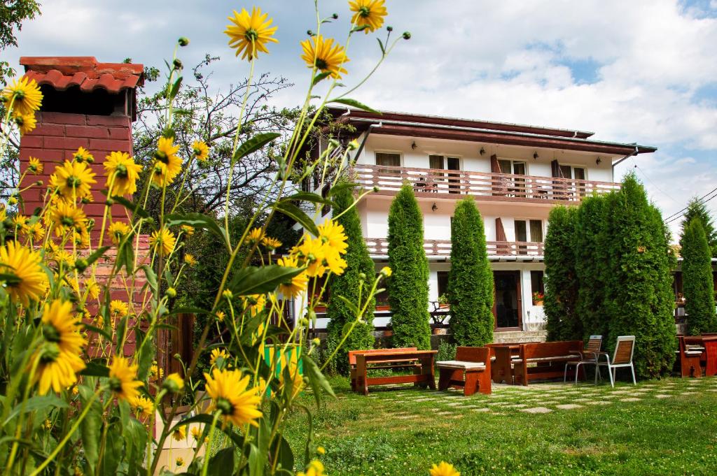a garden with yellow flowers in front of a building at Pensiunea Amada in Lereşti