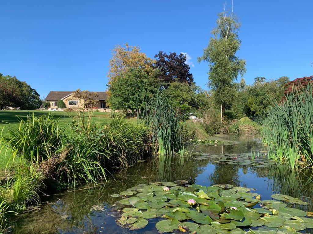 a pond with lily pads in a garden at The Quackery in Langport