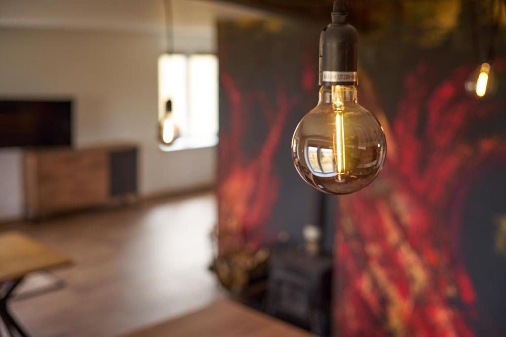 TV a/nebo společenská místnost v ubytování Urtica apartmány