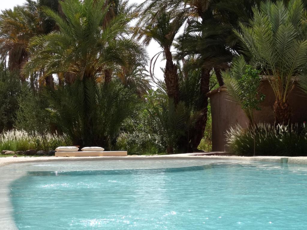 a swimming pool in a yard with palm trees at L'Ma Lodge in Skoura