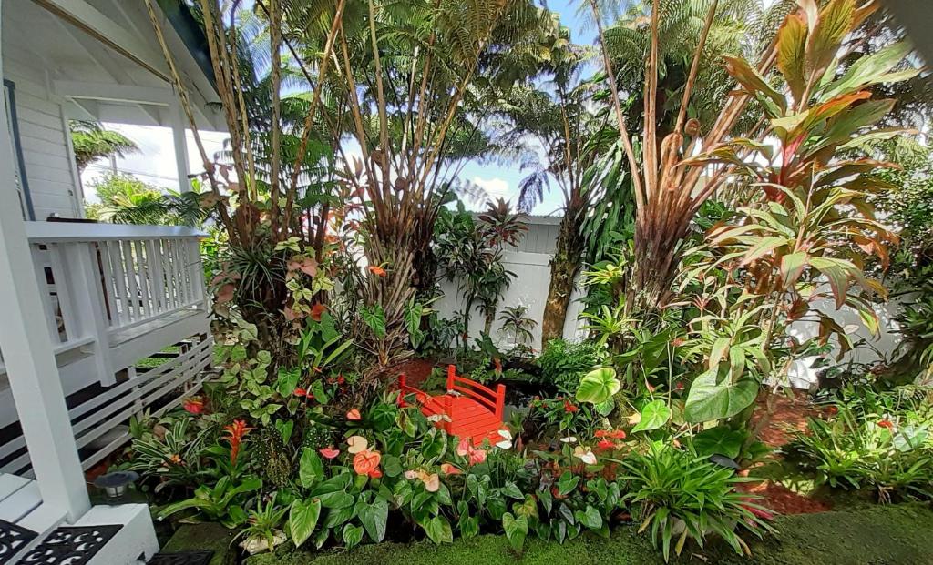 Zahrada ubytování Paradise Cottage at Anthurium Hale