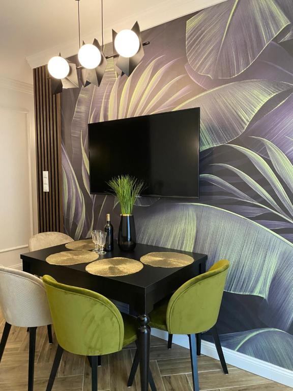 Telewizja i/lub zestaw kina domowego w obiekcie Family & Business Sauna Tężnia Apartments No18 Leśny nad Zalewem Cedzyna -1 Bedroom with Private Sauna, Bath with Hydromassage , Terrace, Parking, Catering Options