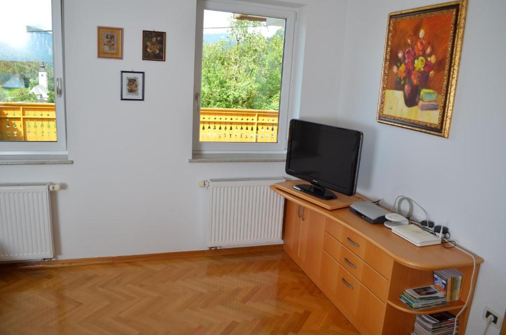 TV a/nebo společenská místnost v ubytování Apartment Brumec