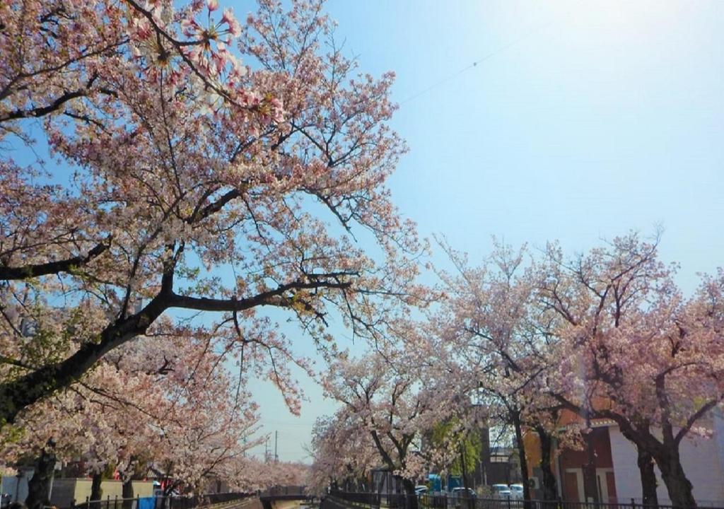 Fotografie z fotogalerie ubytování Ichinomiya City Hotel v destinaci Ičinomija