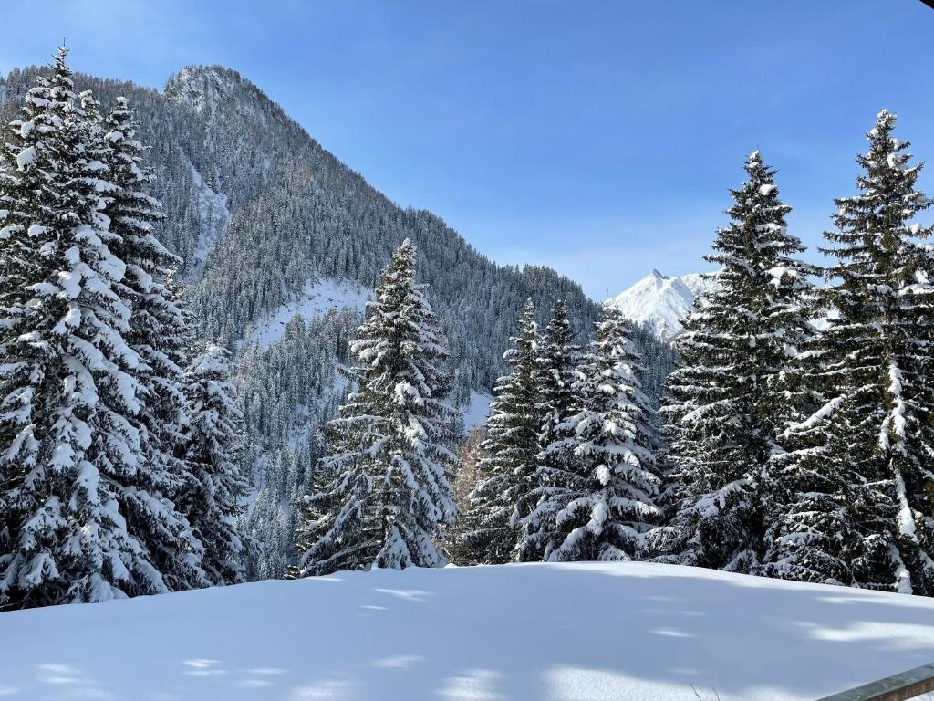 a snowy forest with snow covered trees and mountains at Apart Alpenglüh´n in Spiss