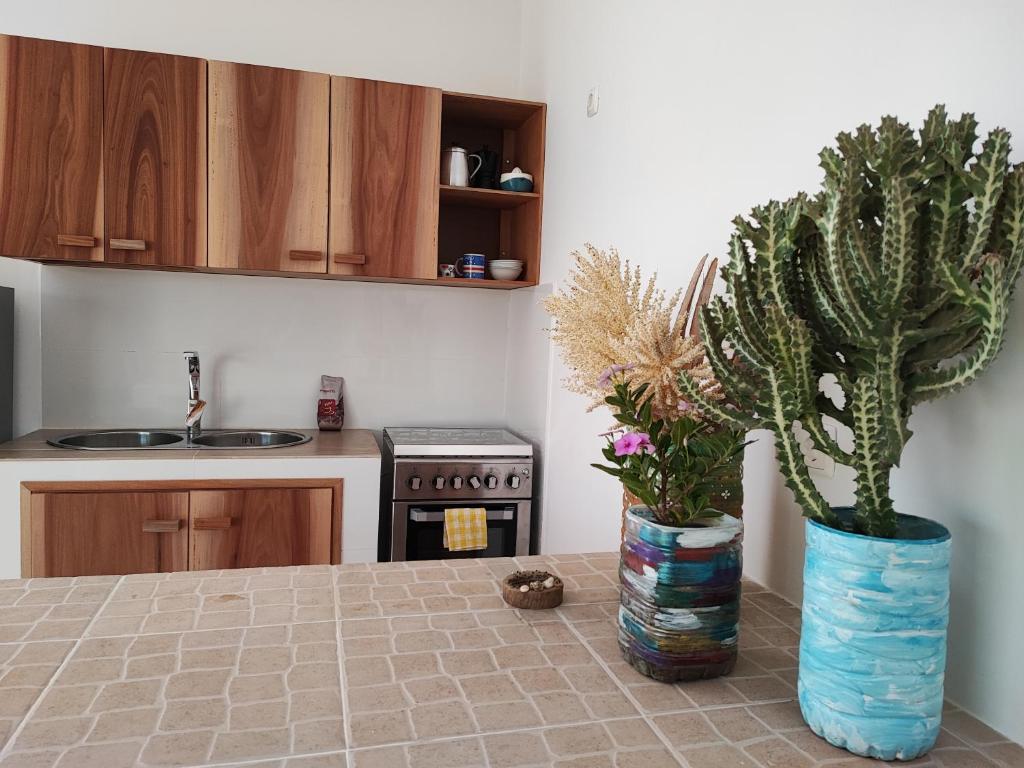 Kuchyň nebo kuchyňský kout v ubytování Casa Djarmai Boutique Apartments