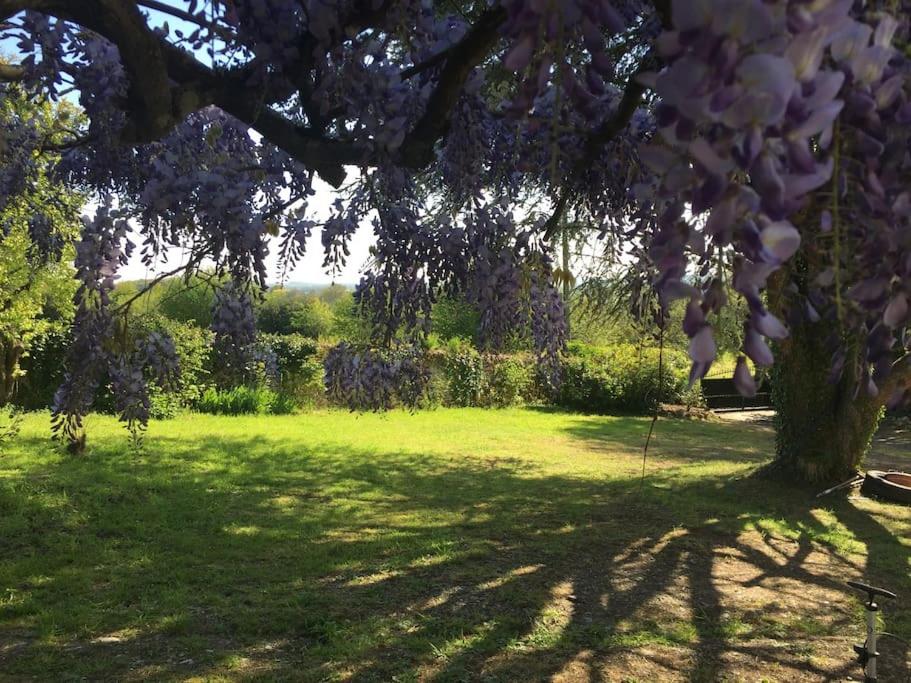 Gites Le Segur - Wisteria Cottage - Housity