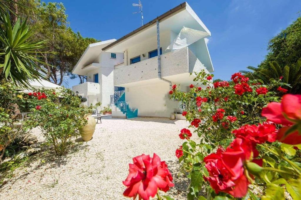 Zahrada ubytování Suite House L'Isola Che Non C'è