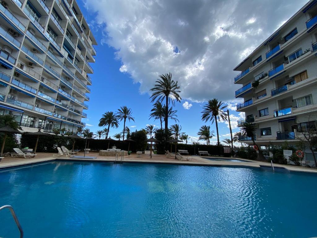 Marbella Skol, Marbella – Updated 2022 Prices