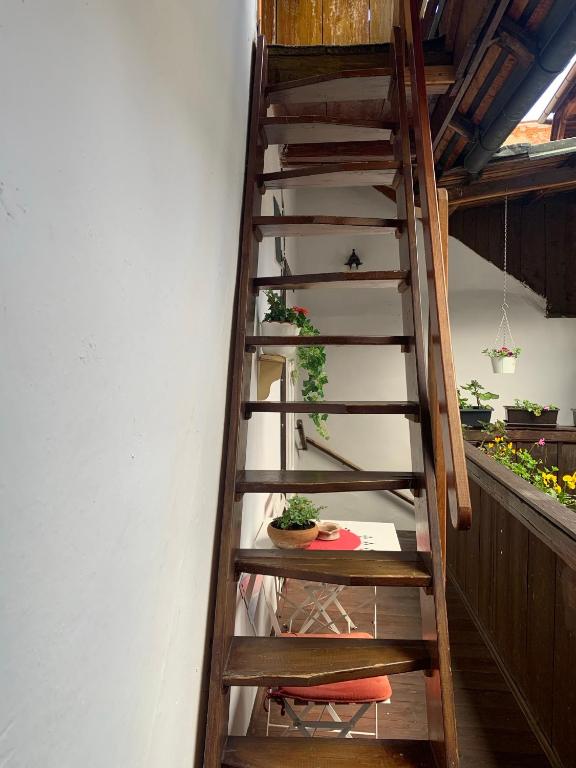 a wooden staircase in a room with potted plants at LOFT Natalya Gold in Český Krumlov