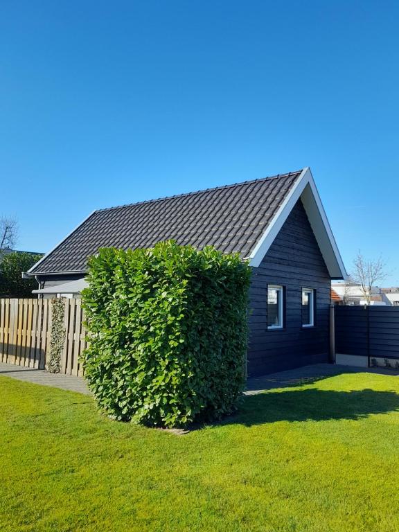 une maison bleue avec une haie devant elle dans l'établissement B&B tRust, à Barneveld