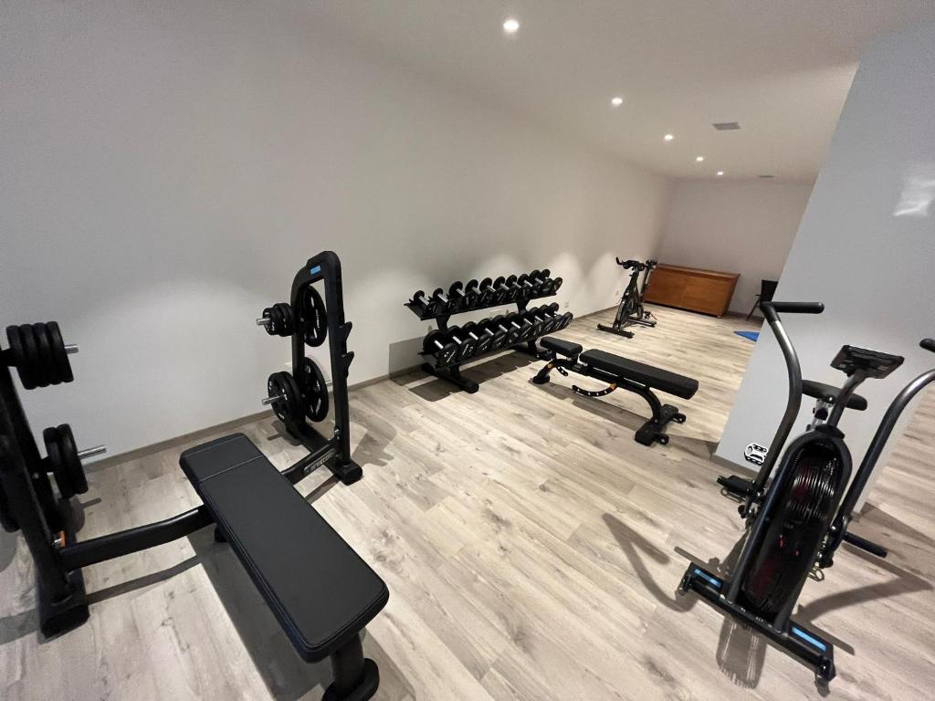 Fitness centrum a/nebo fitness zařízení v ubytování Riva Lake Lodge