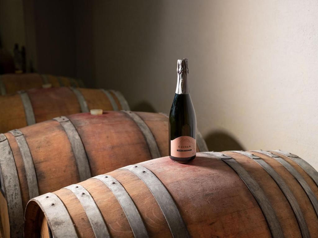Nápoje v ubytování Agriturismo Podere Cavaga Lago d'Iseo Agribio Winery