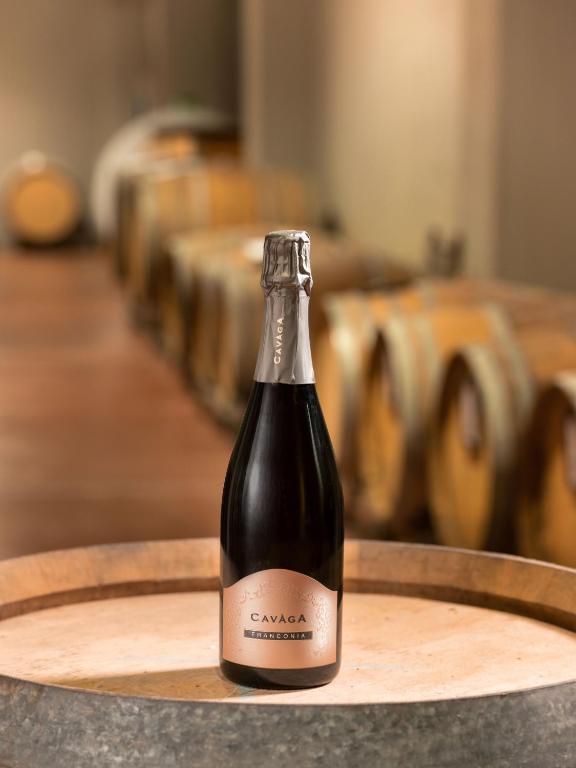 Nápoje v ubytování Agriturismo Podere Cavaga Lago d'Iseo Agribio Winery
