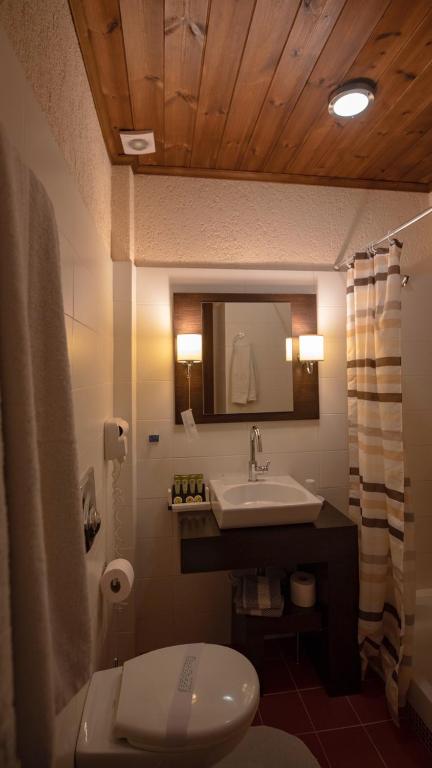 Koupelna v ubytování Asimina Guesthouse, Eptalofos Parnassos