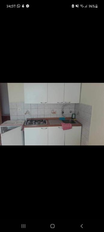 Kuchyň nebo kuchyňský kout v ubytování Apartmani Vesna