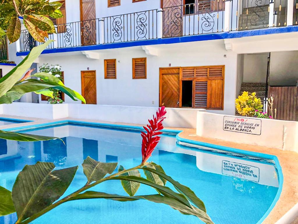uma piscina de resort com uma flor vermelha no primeiro plano em Hotel Naxhiely em Puerto Escondido