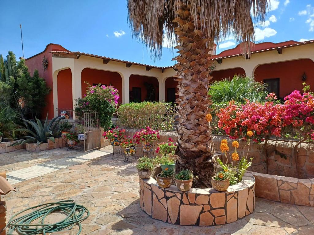 Zahrada ubytování CASONA DOS VIDAS