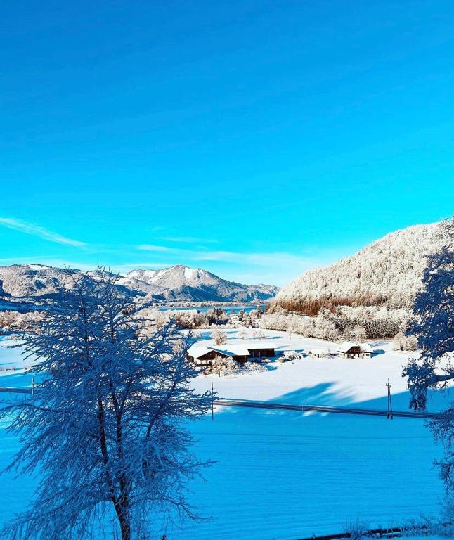 Príroda v okolí apartmánu
