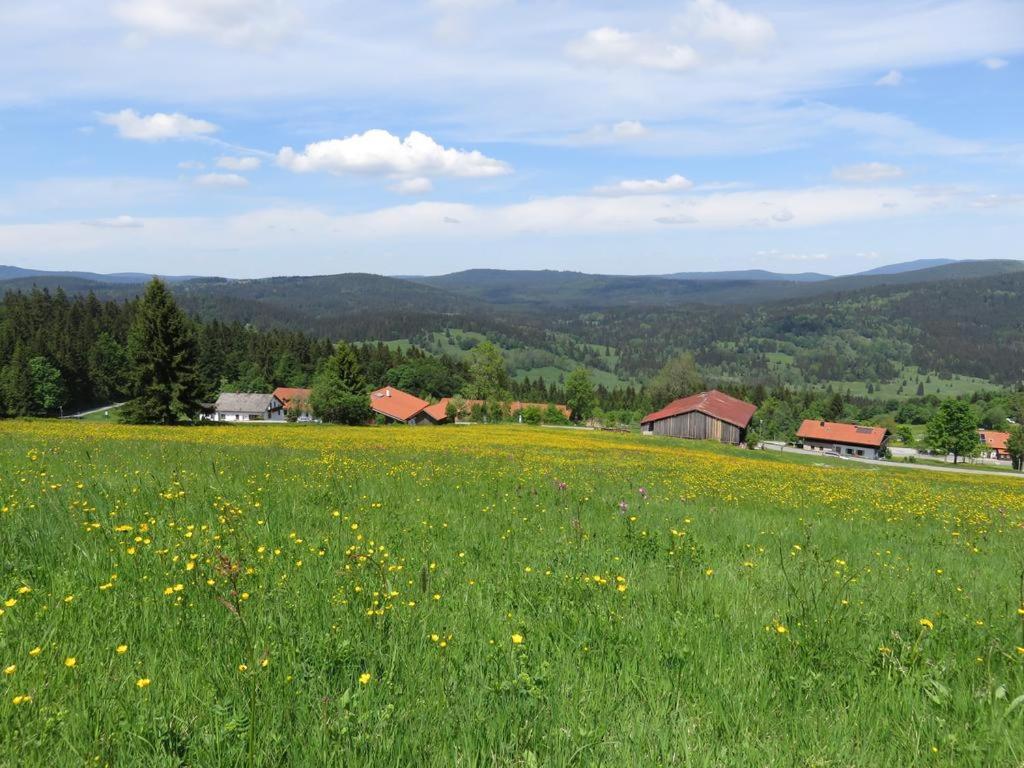 Příroda nedaleko apartmánu