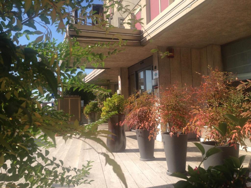 Zahrada ubytování Hotel Al Cason