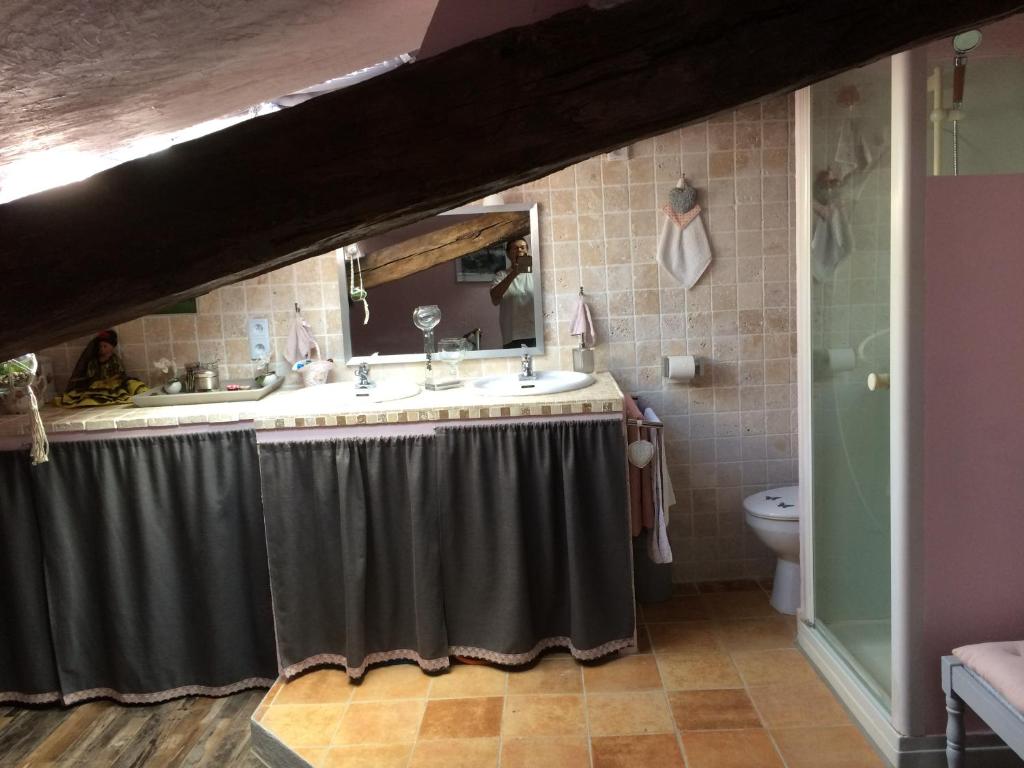uma casa de banho com um lavatório e um espelho em l'Ancienne Forge em Aigonnay