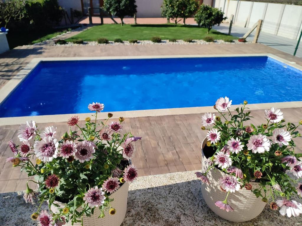 deux vases remplis de fleurs à côté d'une piscine dans l'établissement Casa acogedora Mar de Albariño con Piscina, à Cambados