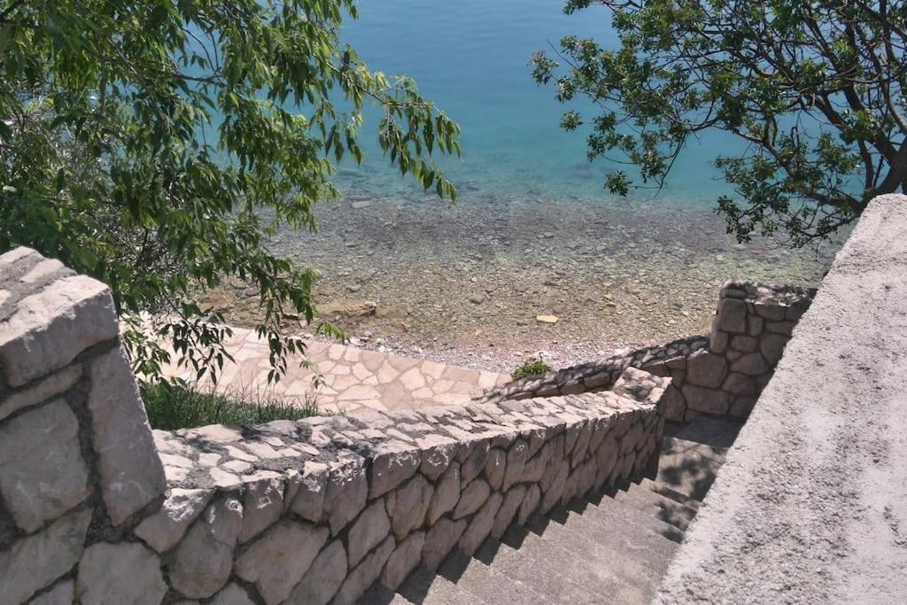 Príroda v okolí dovolenkového domu