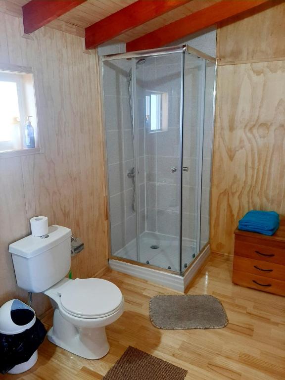 Koupelna v ubytování Hostal y Cabañas Mozart