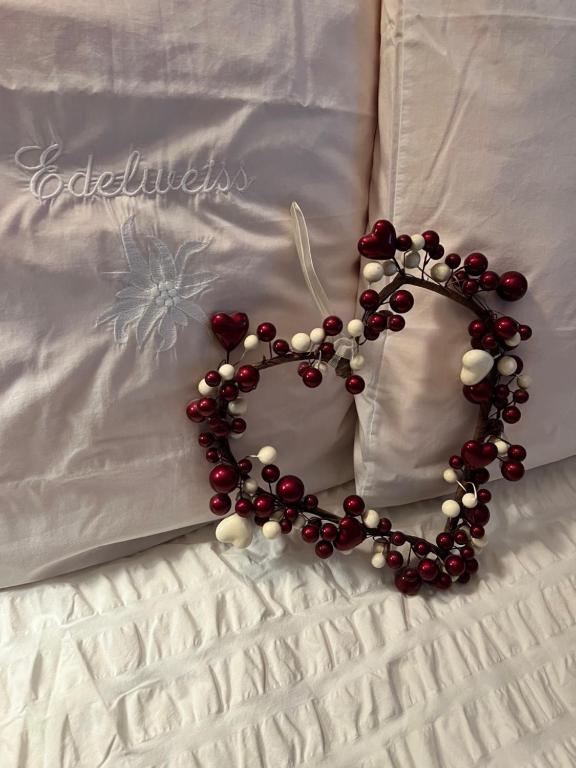 Gite Edelweiss à Eguisheim – photo 45