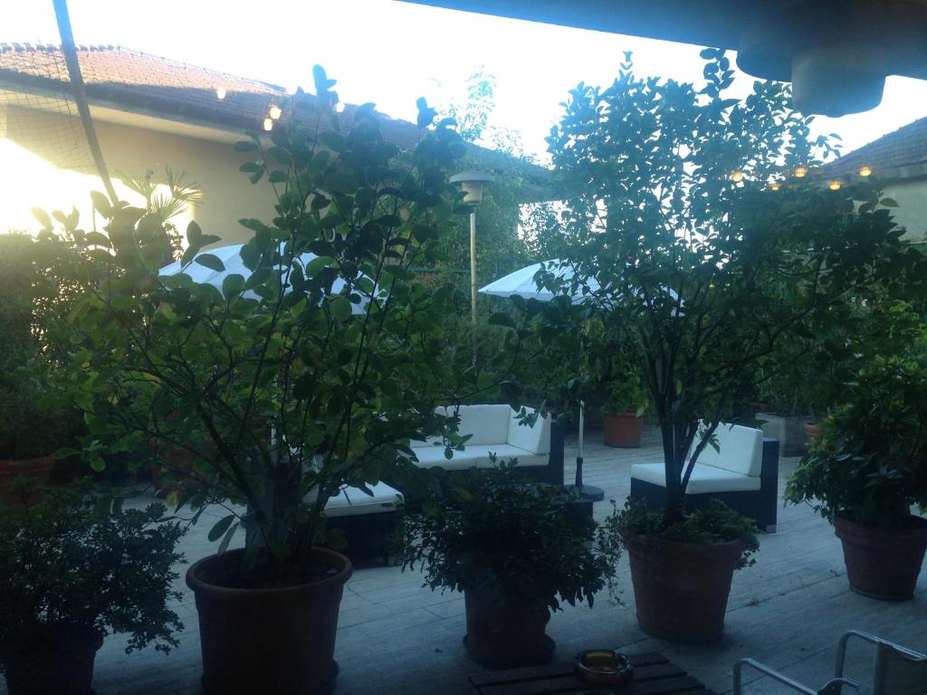 Zahrada ubytování Hotel Al Cason