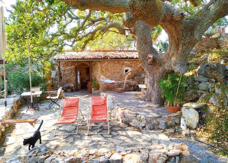 Zahrada ubytování Wellanidia Cottage Skoutari