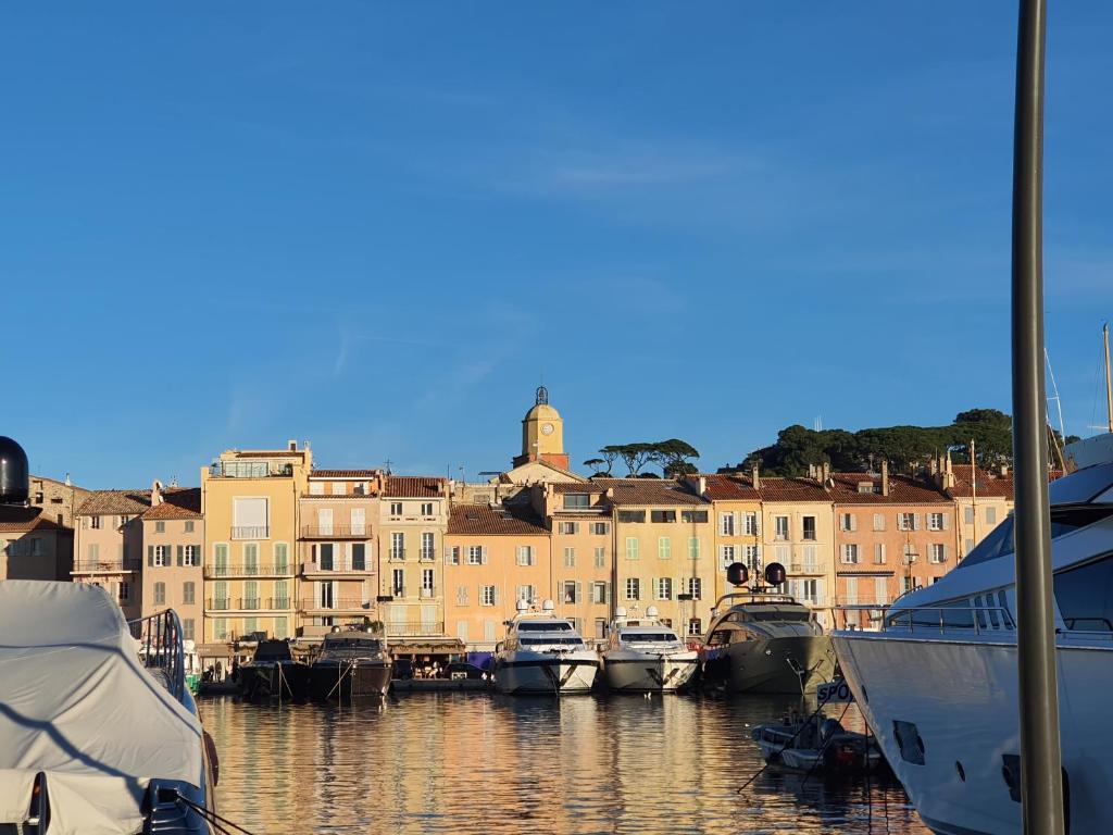 un groupe de bateaux amarrés dans un port avec des bâtiments dans l'établissement Petit Jean, à Saint-Tropez