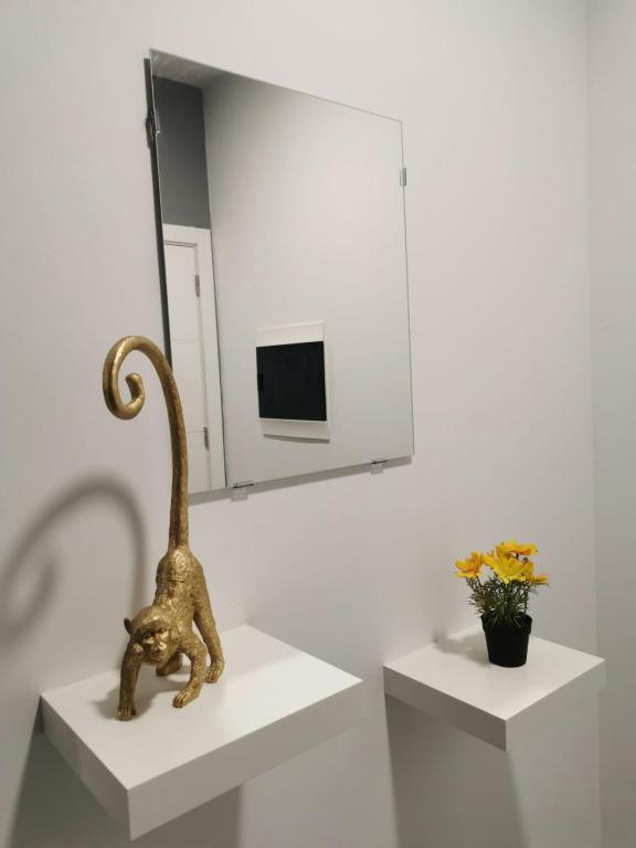 Fotografie z fotogalerie ubytování amplio duplex v destinaci Tamaimo