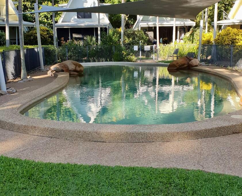 uma piscina de água com dois cães deitados nela em Magnetic Diamond - Gorgeous Holiday Chalet em Nelly Bay