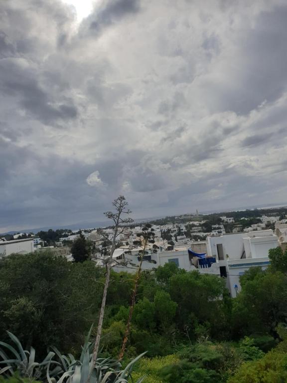 La Perle de Sidi bou Saïd - Housity