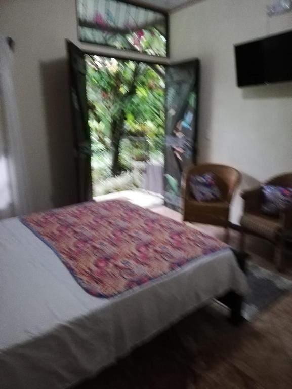 Postel nebo postele na pokoji v ubytování Salamandra Costa Rica