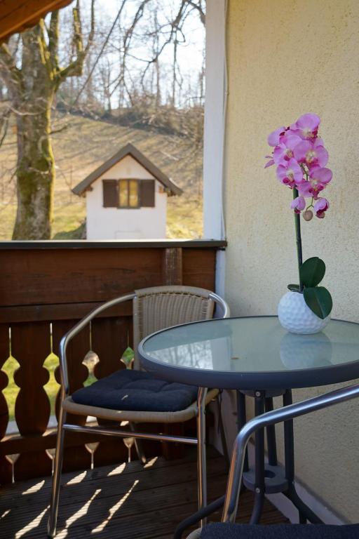 Fotografie z fotogalerie ubytování Ferienwohnungen Jodlbauerhof v destinaci Weyregg