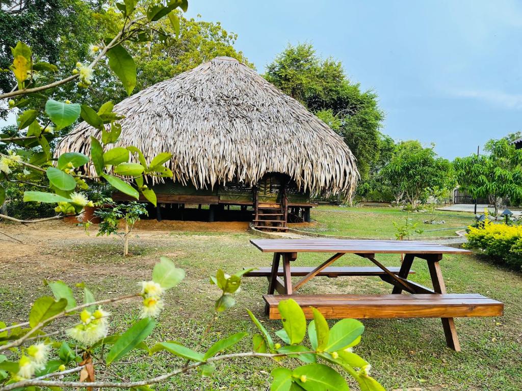 Zahrada ubytování Yala Lake View Cabanas