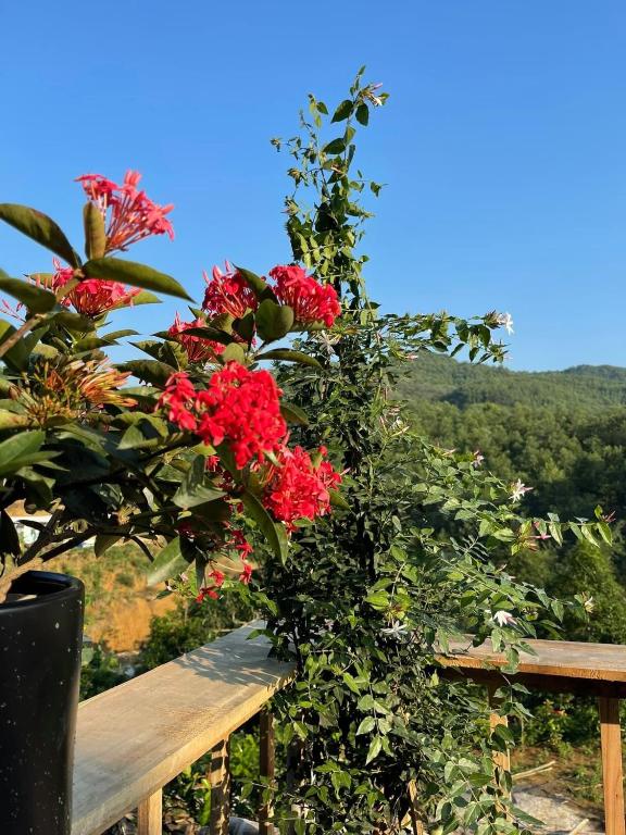 Di' Hillside Homestay