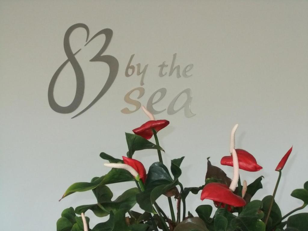 83 By The Sea Motor Lodge - Resim 11