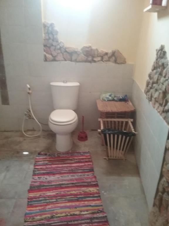 a bathroom with a toilet and a rug on the floor at Hidden place in ‘Izbat Ţanāţī