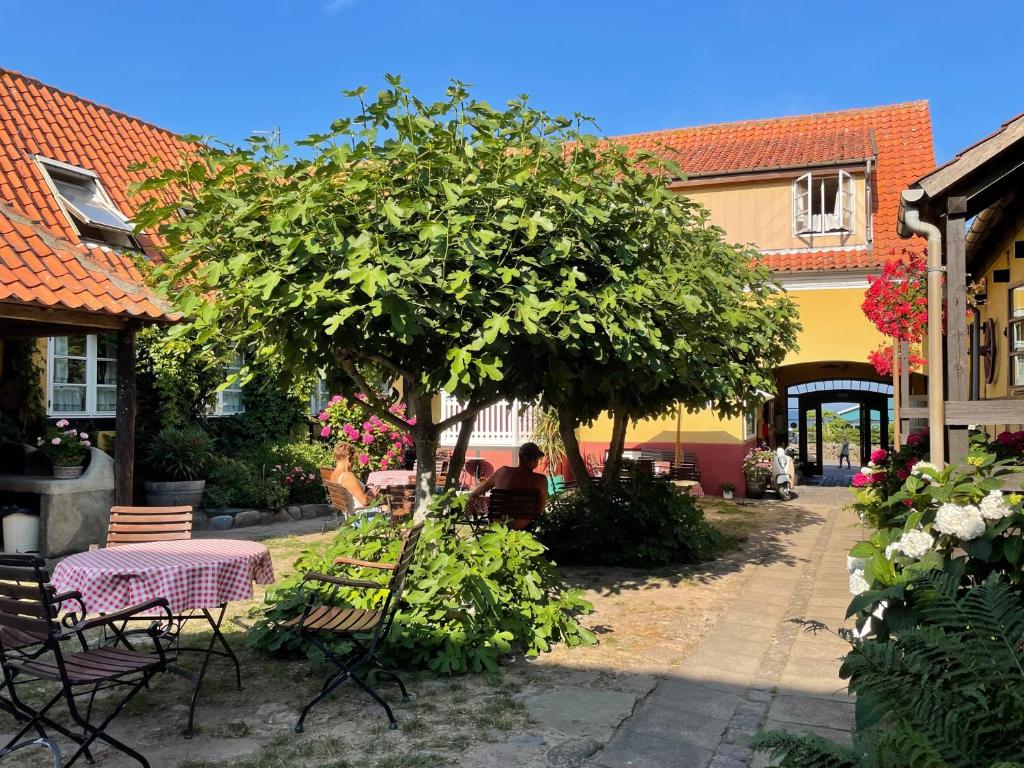 Zahrada ubytování Hotel Klostergaarden