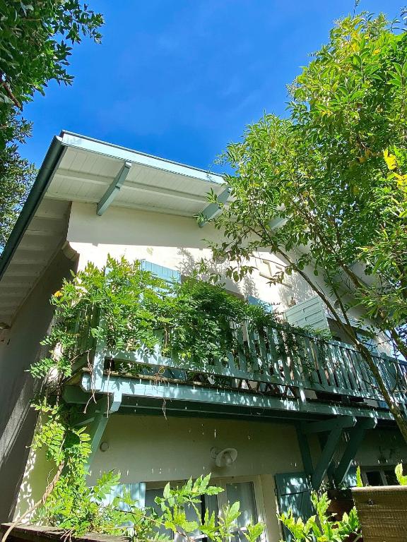 villa blanche Cabine 1 - Apartment With Balcony