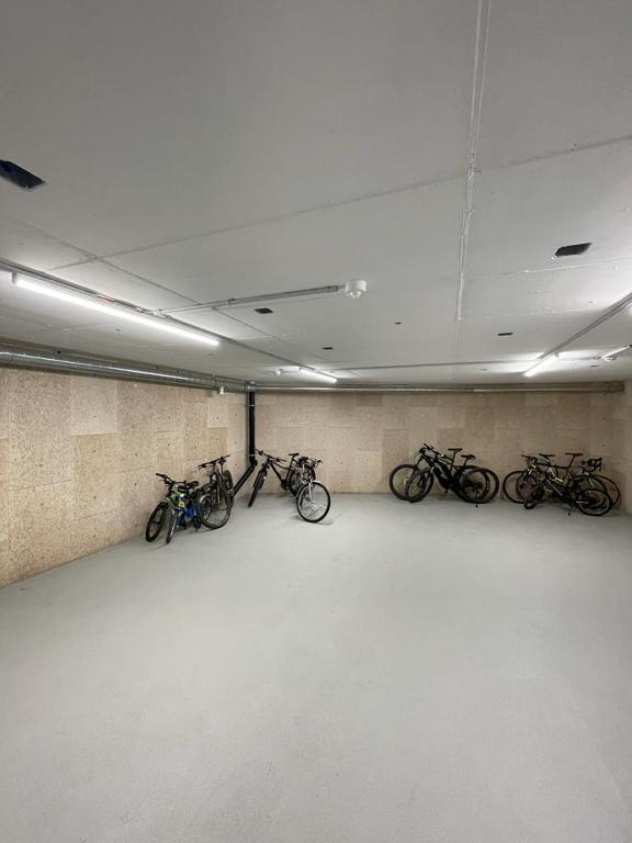 Jízda na kole v ubytování Ferienwohnung Stenna Allegra nebo okolí
